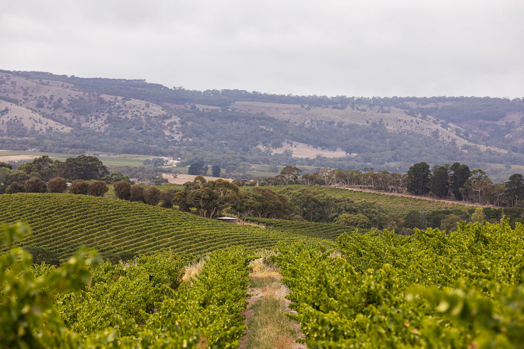 McLaren Vale