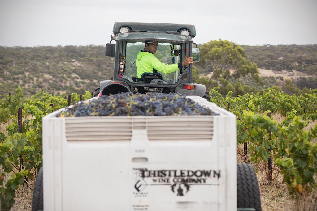 Charity Wine