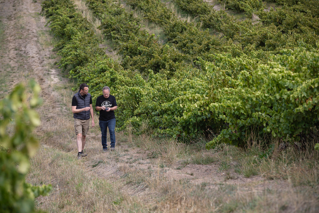 Paddy_and_Giles_walking_mclaren_vale_vineyard