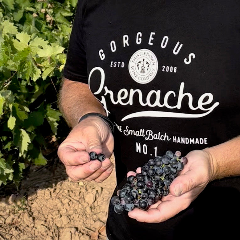 Thistledown Gorgeous Grenache T-shirt front