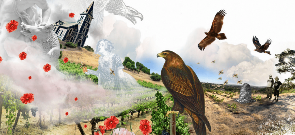 Thistledown Wines where eagles dare label