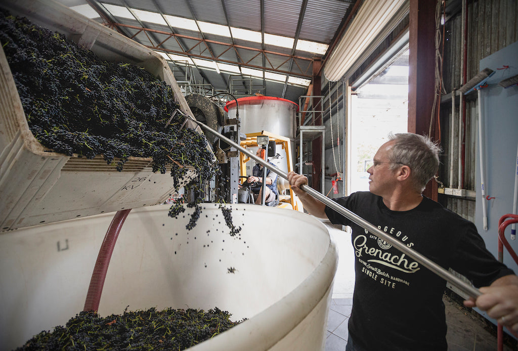 giles-cooke-mw_in_winery